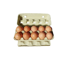 Bild von BIO Eier - Preis pro Stück - ENE 24 - mind. Haltbarkeit 2.12.2025