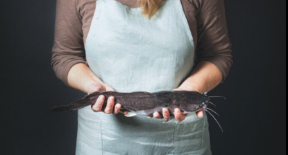 Bild von Fisch Bezahlung - Preis vom Etikett 