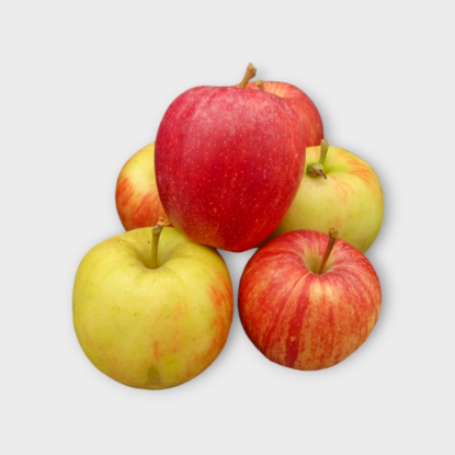 Bild von Apfel - Gala, Braeburn