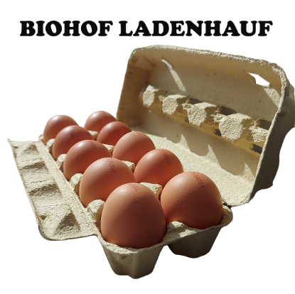 Bild von BIO Eier - Preis pro Stück - ENE 24 - mind. Haltbarkeit 03.03.2024 