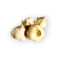 Bild von Bio Knoblauch - Preis pro 100g - ENE24