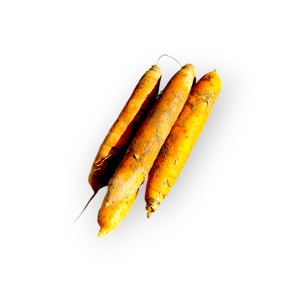 Picture of Bio Karotten - ENE24